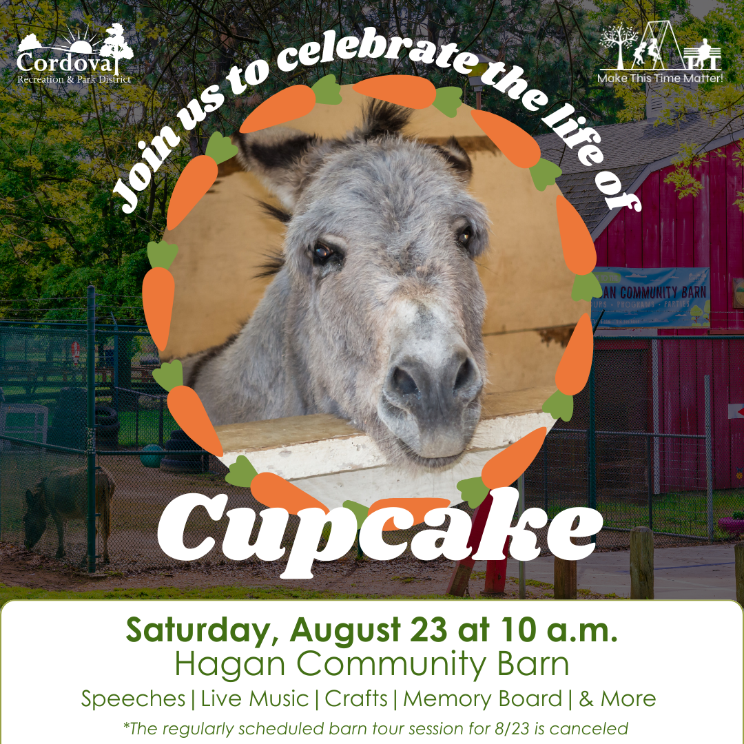 Cupcake Memorial Event