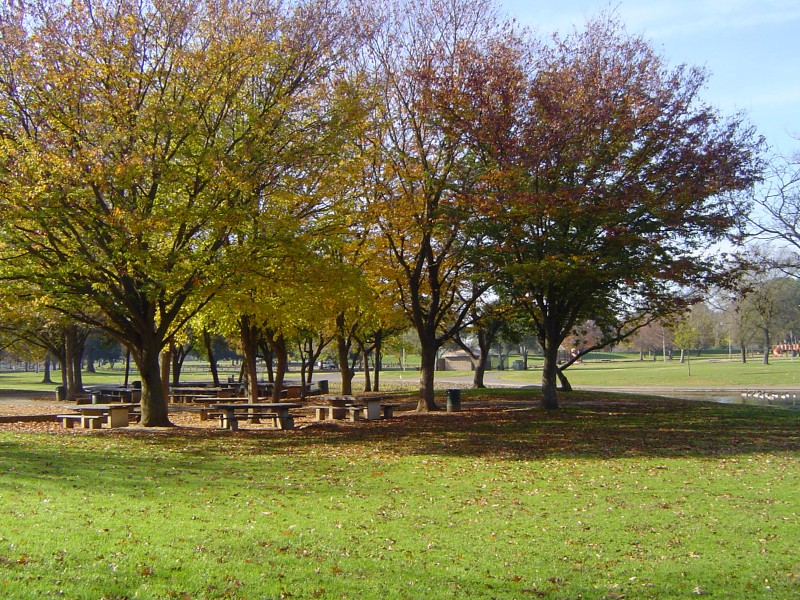 picnic area at Hagan Community Park