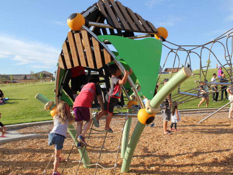 families playing at hillside park