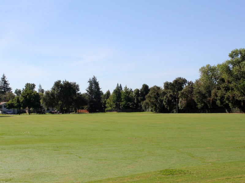 Larchmont Community Park field