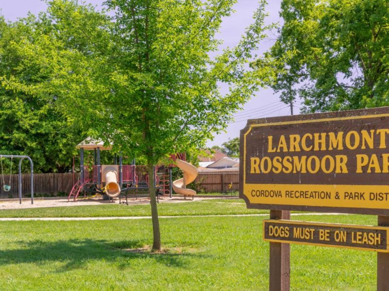 Larchmont/Rossmoor Park