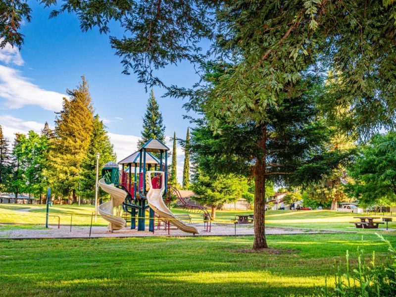 Taylor Park playground