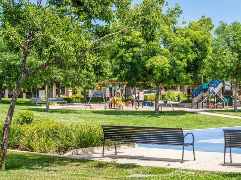 Renaissance Park playground