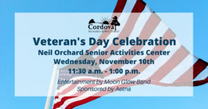 veteran's day celebration
